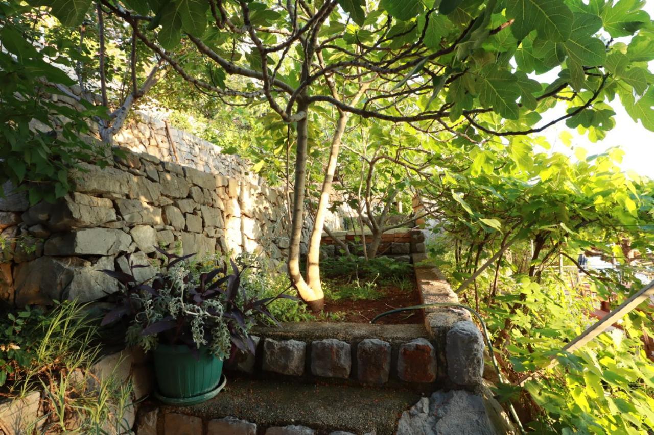 סווטי יוראי Accommodation Salvia מראה חיצוני תמונה